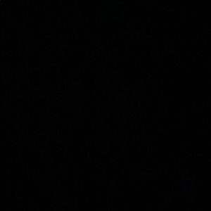 Meet your Posher, Maddie